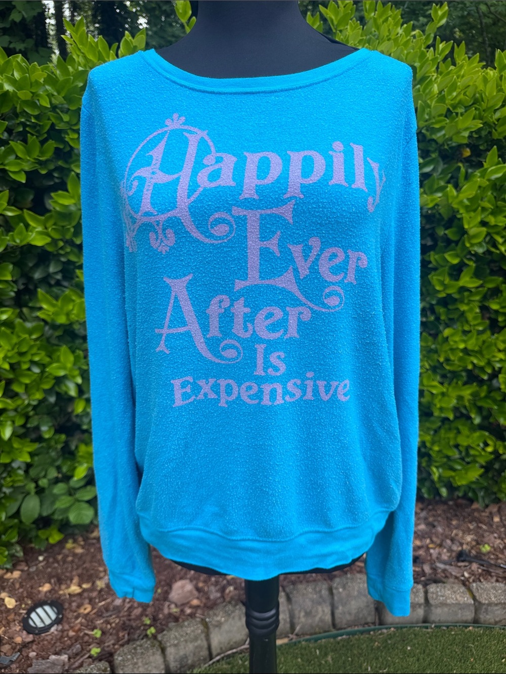 Wildfox Turquoise Blue Graphic Sweatshirt with Pink Slogan